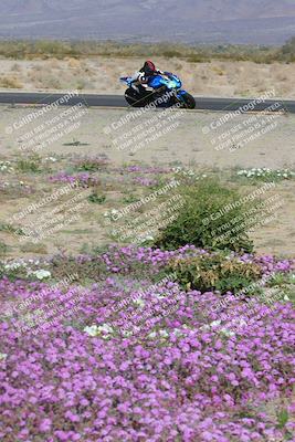 media/Feb-04-2023-SoCal Trackdays (Sat) [[8a776bf2c3]]/Turn 15 Inside Blooming (1050am)/